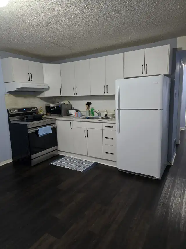 Basement Apartment for Rent