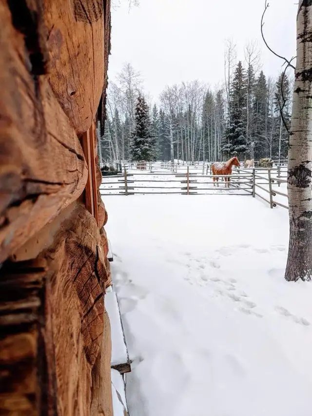 Winter wonderland with private hot tub in British Columbia in Canada - Image 4