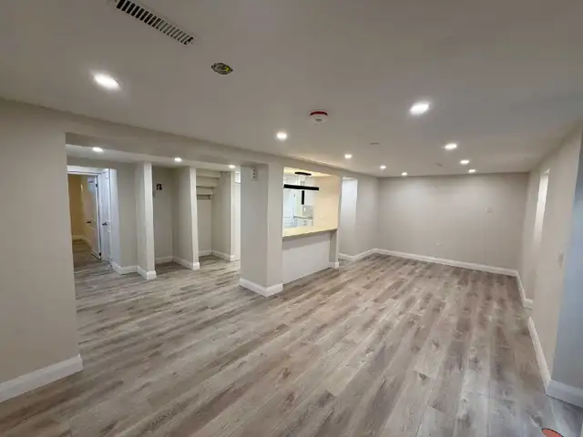 Professional Basement Renovations531194419536865283
