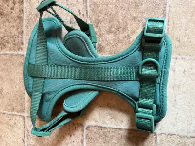 small green dog puppy harness, View more