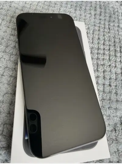 iPhone 16 Pro Max, View more