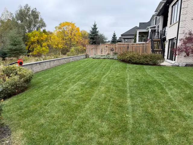  FALL YARD CLEANUP SERVICES 594162952879493124