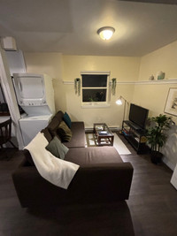 Furnished studio apartment available immediately 
