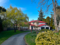 south surrey house for rent