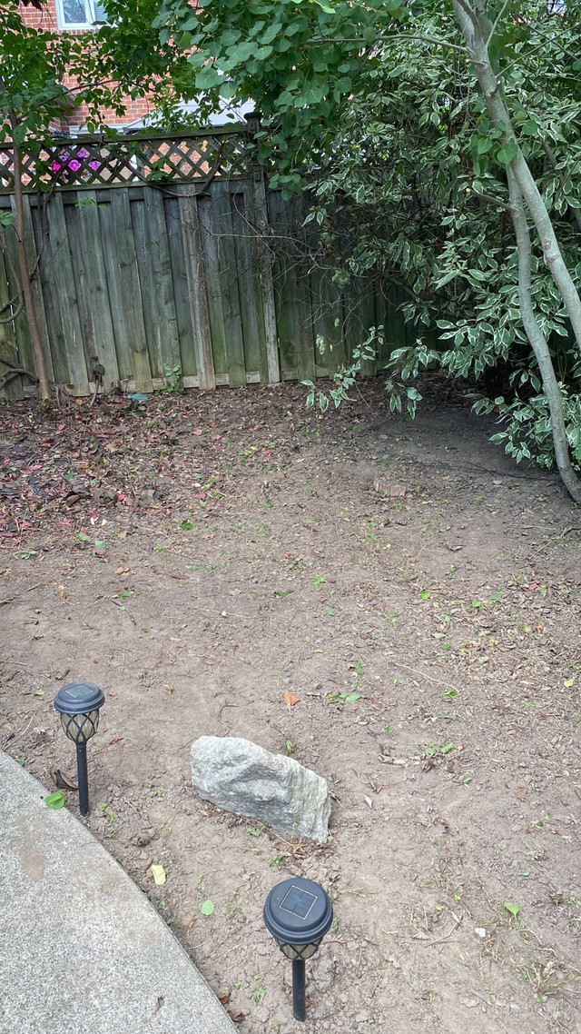 if someone need MOVERS  let me know. We do lawn care too landsca in General Labour in Mississauga / Peel Region - Image 3