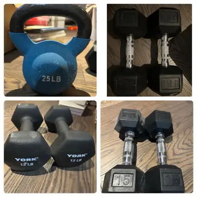 Various hand weights 