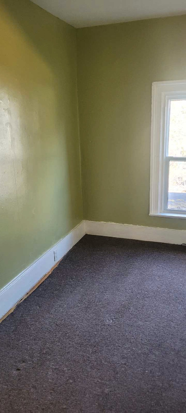 one bedroom apt in Long Term Rentals in Napanee - Image 4