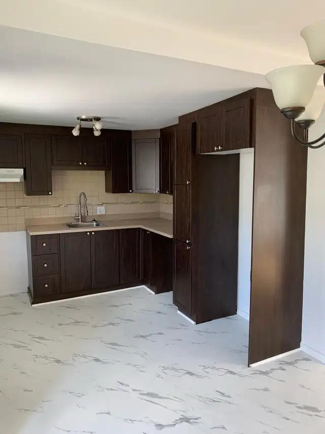 5 1/2 libre 01 mai 2026