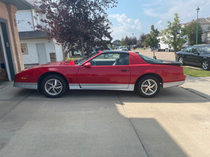 1986 Pontiac Firebird