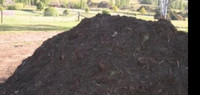 Cattle Manure Compost Organic 
