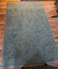 Shag Area rug large indoor