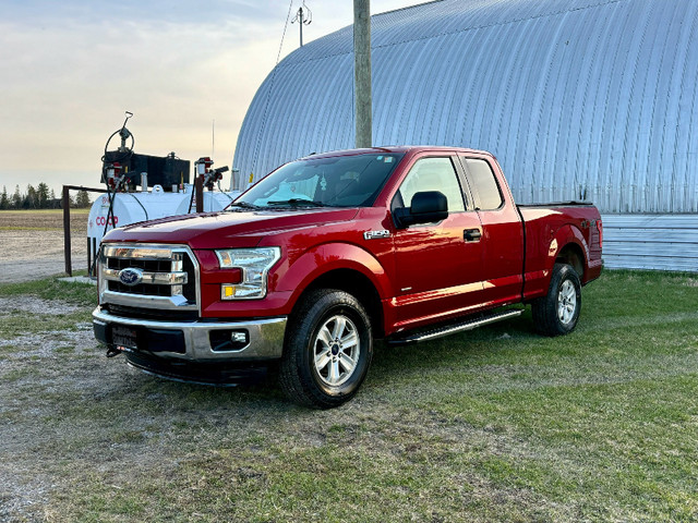 2015 Ford F-150 XLT in Cars & Trucks in North Bay