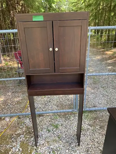 Stand up Medicine cabinet behind toilet