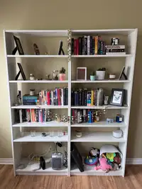 Book Shelves (2)