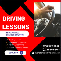 Driving Lessons - MTO approved Driving Instrcutor!