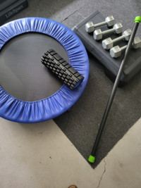 Exercise weights, step, mini trampoline