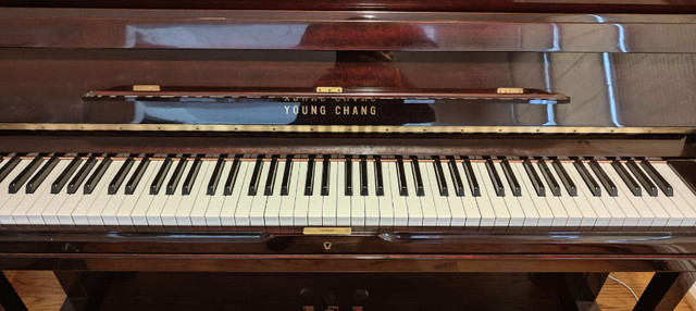 Young Chang Piano to go at Markham in Pianos & Keyboards in Markham / York Region - Image 4
