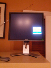 Dell 17" LCD Monitor | 1707FPc | Vga / Dvi Port | Silver | VESA