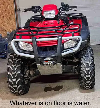 I have a 2008 Honda Rubicon. Has 4900 kms. on it. Is in excellent running condition. Selling for $80...