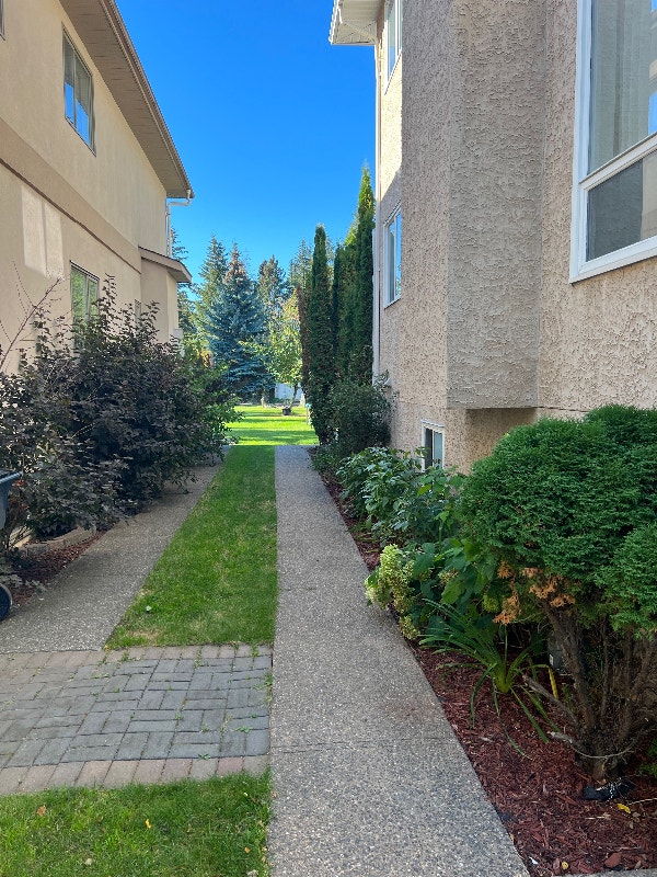 Large one bedroom daylight suite everything included Long Term