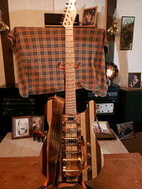 Custom built guitar 