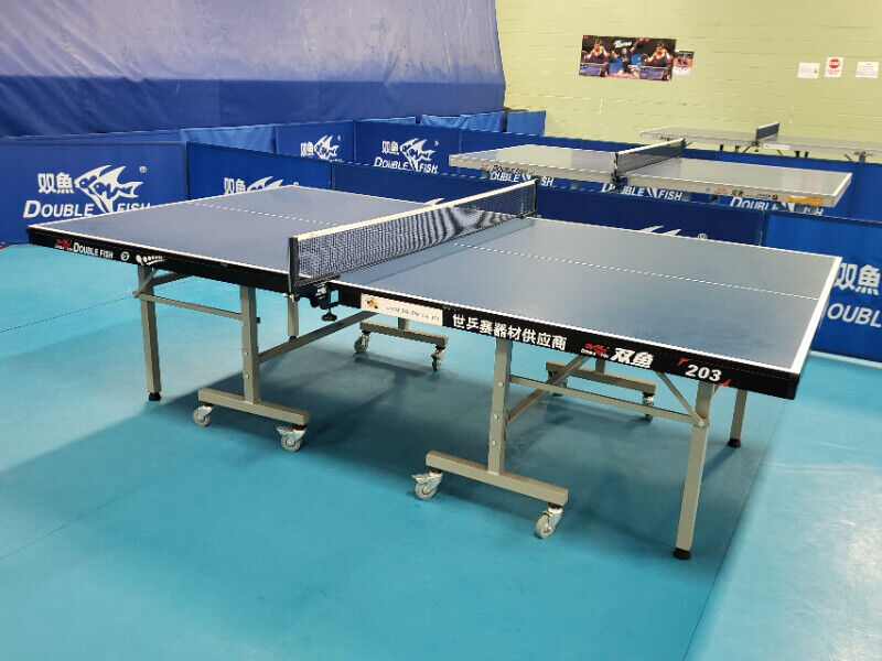 NEW Double Fish Tournament Grade Ping Pong Table 18mm Top Other