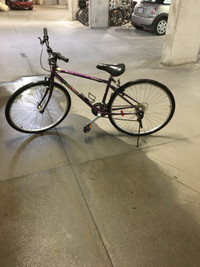 Minelli Adult Bike