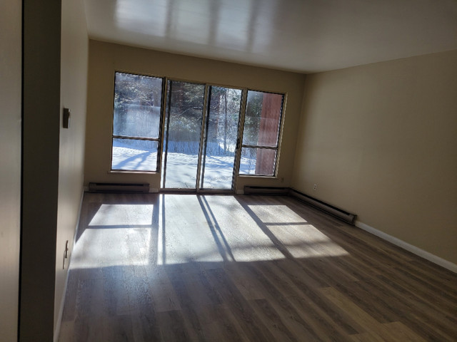40-01 Goodine Street, One Bedroom in Long Term Rentals in Fredericton - Image 2