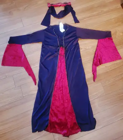 Harem Girl Halloween Costume, View more