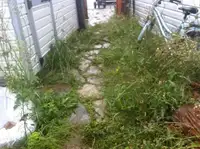 WEED REMOVAL, LAWN AND YARD CLEANUP