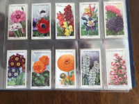 Wills complete set 50  Original Cigarette cards garden flowers