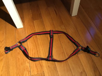 Dog harness and coat - like new