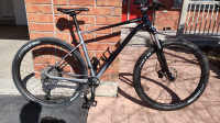 2021 Cannondale Trail SE 4 - XL - Mountain Bike