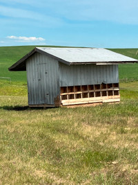 Self feeder/creep feeder/future chicken coop for sale