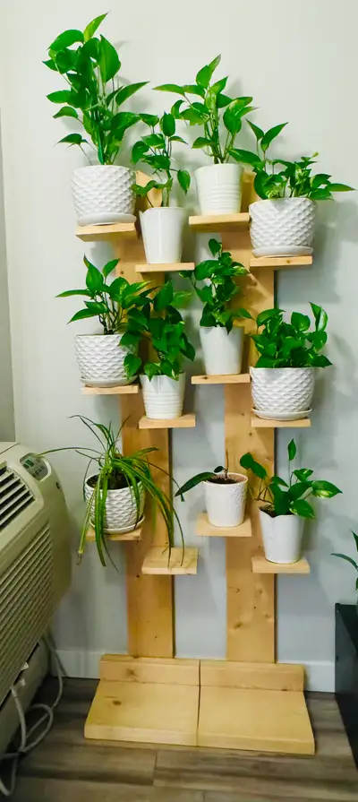 11 Plants and 2 plants stand , View more
