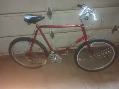 Vintage Raleigh mtb 26" wheels large frame, View more