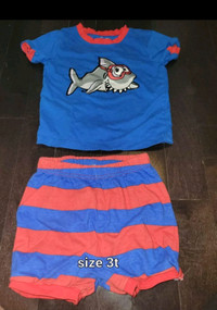 Boys size 3t outfit 