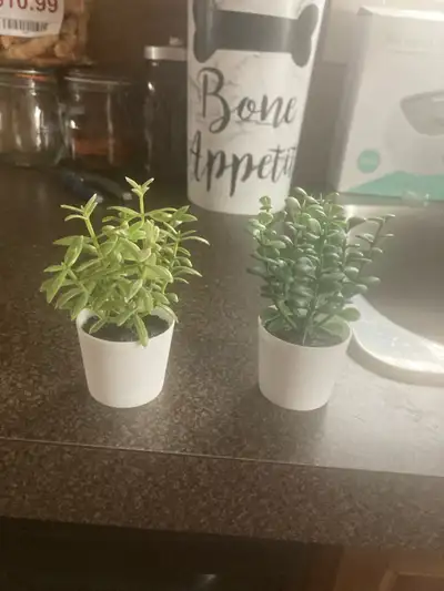 Artificial Potted Succulents, View more