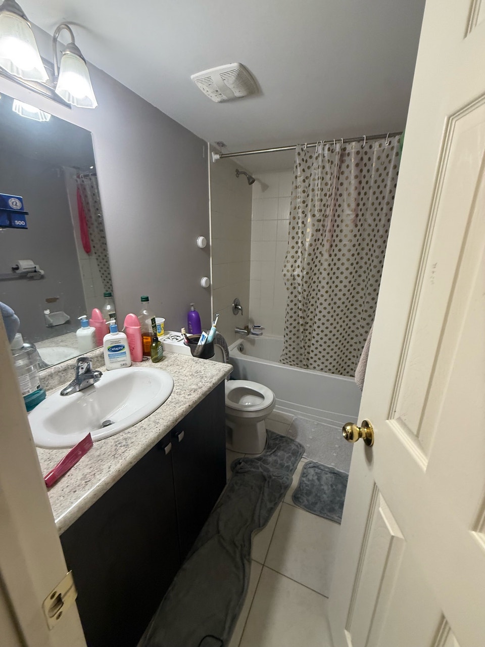 one bedroom basement for rent near trinity mall brampton 5