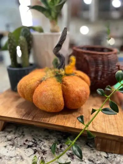 Wet felted pumpkin workshop, View more