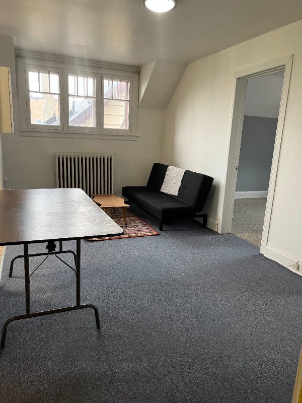 Two bedrooms Apt for rent in Glebe from July or August Long Term
