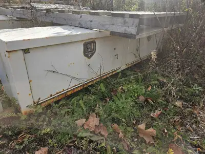 Used ladder rack with tool boxes came off a 2007 chev 2500 8' box. $350 OBO. located in Erin