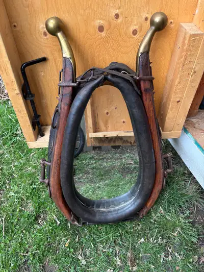 Decorative Horse Collar Mirror , View more