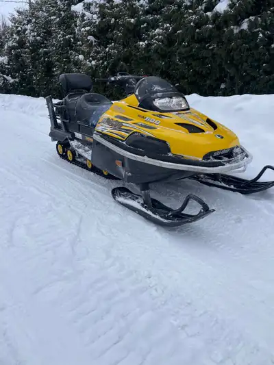 2010 skidoo skandic 600 . Runs and drives good . Electric start and reverse 9000 miles