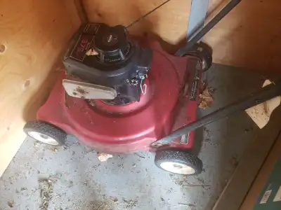 Tondeuse à essence Briggs & Stratton 3.75 HP, View more