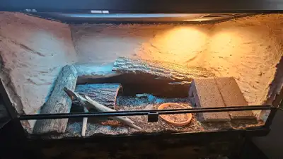 Reptile Enclosure, View more