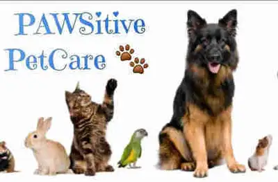 PAWSITIVE PETCARE “Home Away from Home” experience. Dog Sitting & Pet Care Services Dog Boarding | O...