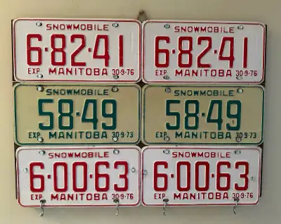 Snowmobile License Plate Wall Art, View more