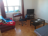 Bachelor apartment available!