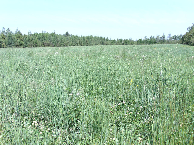 Terre  Agricole a Louer (Pas a vendre) dans Terrains à vendre  à Lac-Saint-Jean